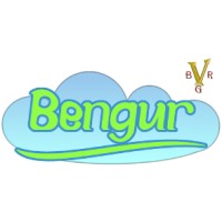 Бенгур ООД / Bengur Ltd. logo - Similar company to Humanita Jsc