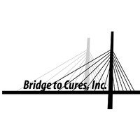 Bridge to Cures logo - Similar company to Cu Ventures