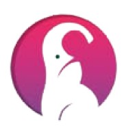 Steamroll Technologies logo - Similar company to Icomp Solutions Pvt Ltd