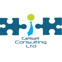 Geisel Consulting Ltd logo - Similar company to Maple Fire Consultants