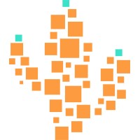 Digi Frontier logo - Similar company to Checago Coffee App