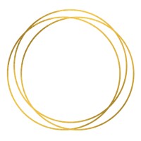 S.E.I. Skin logo - Similar company to Bejew