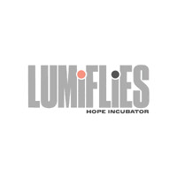 LumiFlies logo - Similar company to Controller Independent Llc