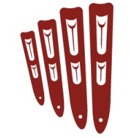 Nisga'A Data Systems, Llc