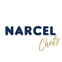 NARCEL logo - Similar company to Oasis Commerce