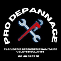 PRO DEPANNAGE logo - Similar company to Actiloc
