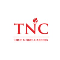 TNC Consulting logo - Similar company to Stride Gaming Group