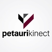Petauri Kinect logo - Similar company to Petauri