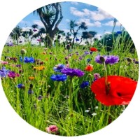 Nolan Business Consulting Limited logo - Similar company to Tandem Consultancy