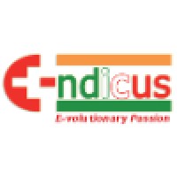 Sg E-Ndicus Infotech Private Limited