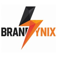 Brandynix logo - Similar company to Neon Byte Technologies