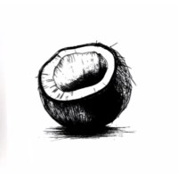 Island Luxury Coconut Water logo - Similar company to Coco Nude
