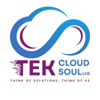 Tek CloudSoul Ltd. - White Label Service Provider logo - Similar company to Shanray It