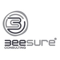 BEE SURE CONSULTING logo - Similar company to Beesa Business Services