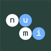 numi accounting group logo - Similar company to Serefidis And Partners