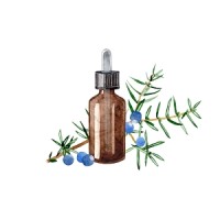 Medicinal Plant Reviews