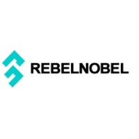 REBELNOBEL FRANCE - Luxury Vinyl Wrap, Design and Refurbishment Services logo - Similar company to Pointcloudwiz (Pcw)