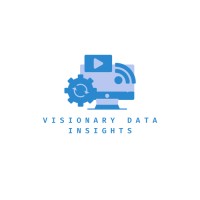 Visionary Data Insights logo - Similar company to Insight Matrix Co.
