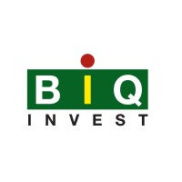 Biqinvest Sa