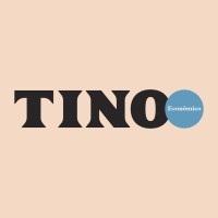 TINO Econômico logo - Similar company to Bvstaa Tecnologia & Educação