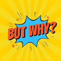 ButWhy? logo - Similar company to Ashivya