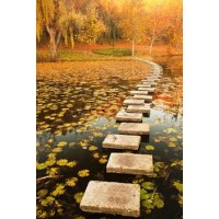 VisionPassage logo - Similar company to Freecomstarter.Com
