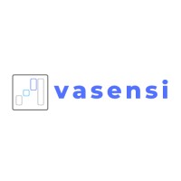 vasensi logo - Similar company to Kin Group Usa