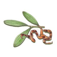 SEEDS Bushland Restoration Pty Ltd logo - Similar company to Ecoskills Training