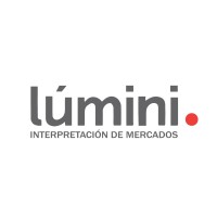 Lumini Interpretacion de Mercados logo - Similar company to Directo Marketing