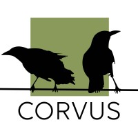 Corvus Consulting Inc. logo - Similar company to Corvus Consulting, Llc