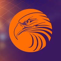 Digital Eagle Inc logo - Similar company to Digital Eagle Mne