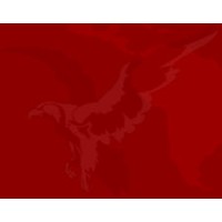 United Tank Services
