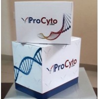 ProCyto Labs Pvt. Ltd. logo - Similar company to Gbs Labs
