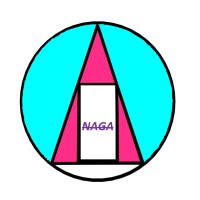 Naga Consulting logo - Similar company to Lvs Ai