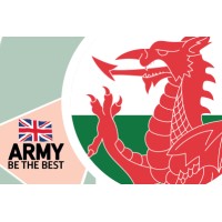 Army In Wales logo - Similar company to Shoothouse