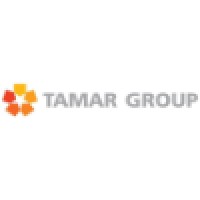 Tamar Group logo - Similar company to Oasisgroup