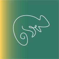 Jungle Horizon logo - Similar company to Dam Architecten