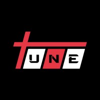 Chiptuning-in.de logo - Similar company to Intune Performance