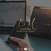 Bm Capital logo - Similar company to Gauden Experts