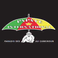 ASSOCIATION PAPAYE INTERNATIONAL logo - Similar company to Bureau-Mobile.Fr