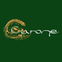 Carone Cosmetics logo - Similar company to Cosmesico