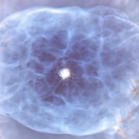 HEMO logo - Similar company to Hemo.Labs