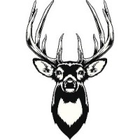 Buck Asset Management logo - Similar company to Ark Accounting