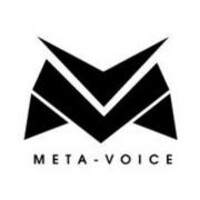 Meta Voice logo - Similar company to Meta Voice (Pvt) Ltd