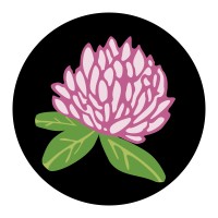 Abortion Fund Of Ohio logo - Similar company to Abortion Access Now