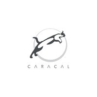 Caracal Oil & Gas Support Group logo - Similar company to Afloat Limited