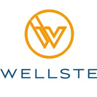 Wellste Aluminum logo - Similar company to Brilex Technical Solutions