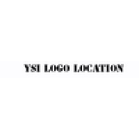 Young Scholars Institute