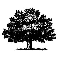 Mwaloni Limited logo - Similar company to Ilo Value