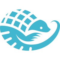 Blue Pangolin Consulting logo - Similar company to Global Reconciliation